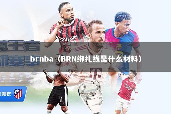 brnba（BRN绑扎线是什么材料）